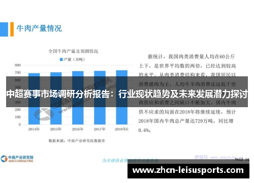 中超赛事市场调研分析报告：行业现状趋势及未来发展潜力探讨