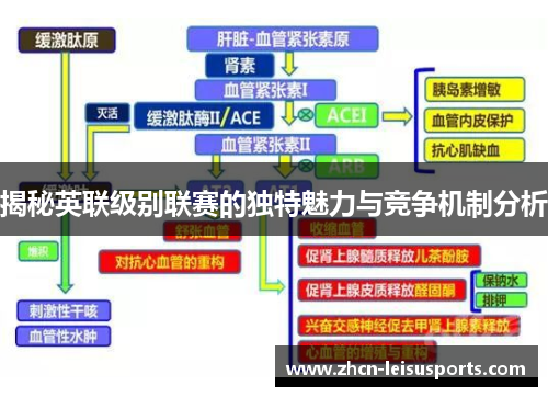 揭秘英联级别联赛的独特魅力与竞争机制分析